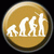 Human Evolution